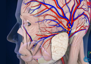 戰(zhàn)地醫(yī)療急救三維動(dòng)畫(huà)演示